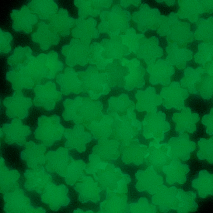 Stikeeze Glow in the Dark Confetti | Blue Flowers | 3 gms | For Crafts, Slime & Resin Art